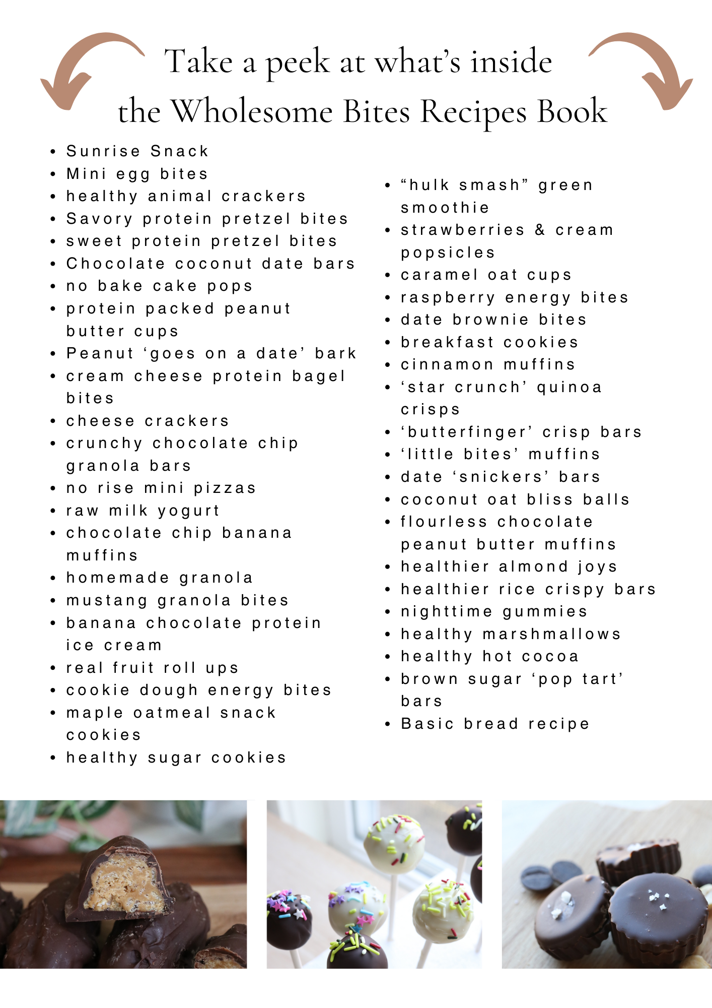 Wholesome Bites Snacks eBook